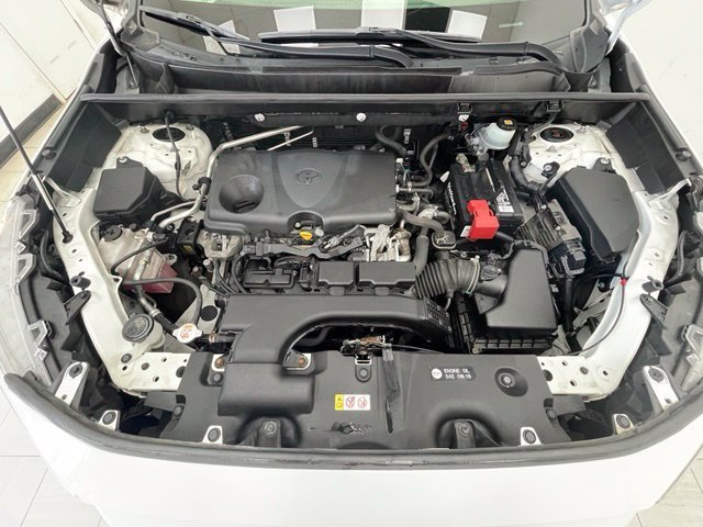 2019 Toyota RAV4 XLE - Photo 23