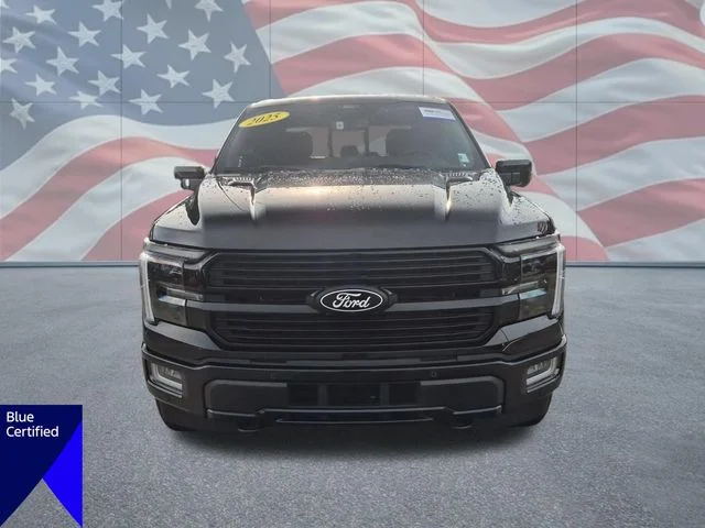 Used 2025 Black Ford Platinum image 8