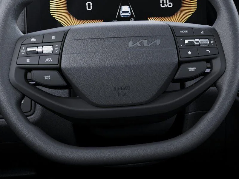 New 2026 Panthera Metal Gray Kia LX image 22