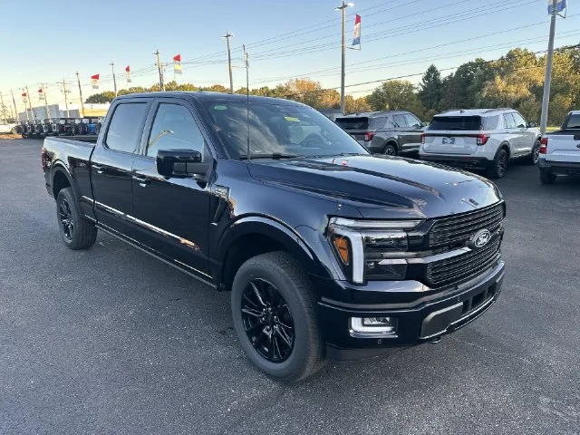 New 2026 Blue Ford Platinum image 16