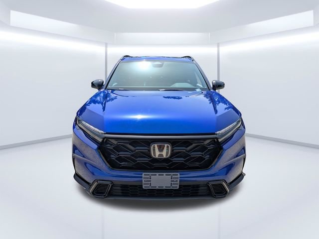 Used 2023 Blue Honda Sport image 9