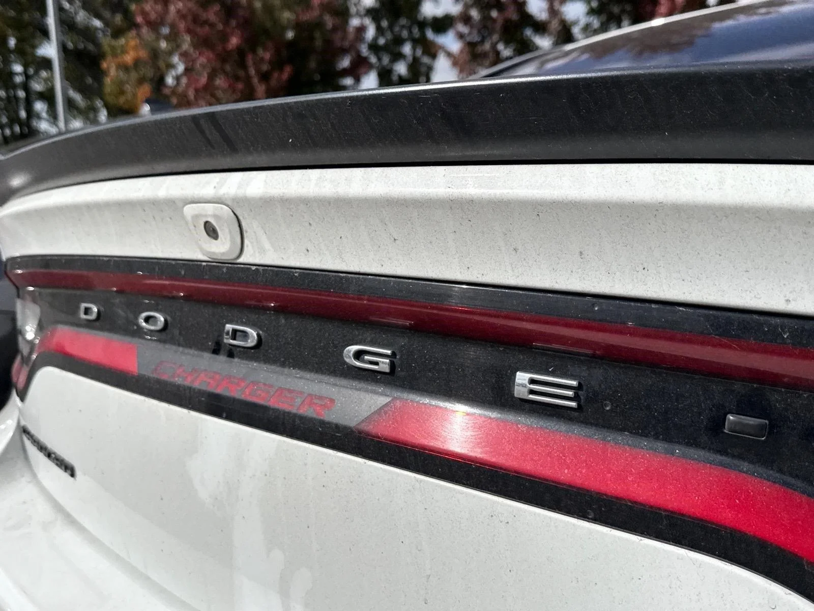 Used 2018  DAIMLER DODGE SXTPLUS image 15