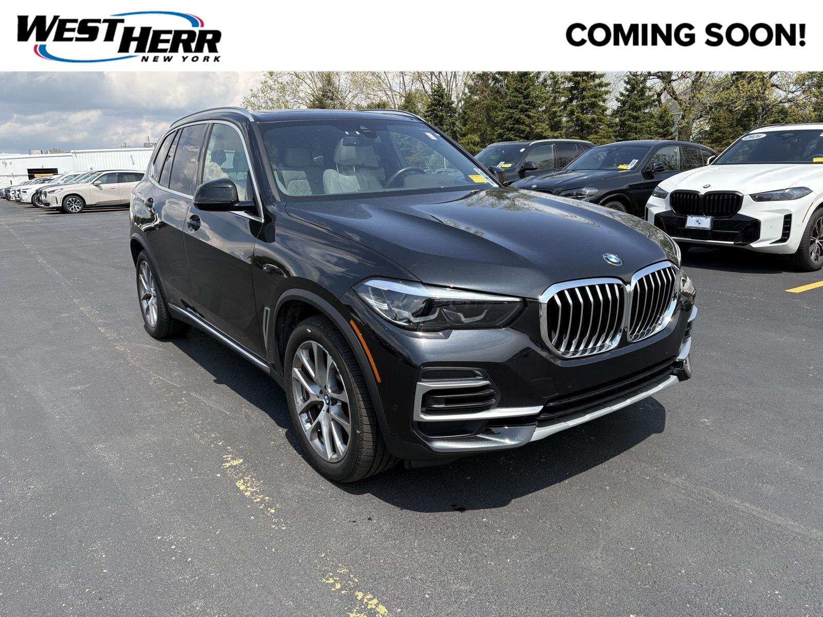 2023 BMW X5 xDrive40i's photo