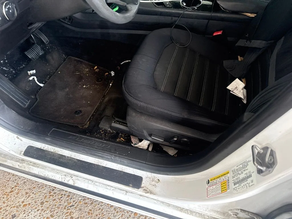 Used 2014 White Ford SE image 6
