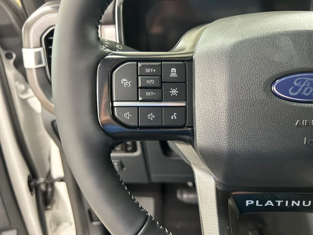 New 2026 White Ford Platinum image 20