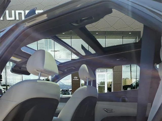 New 2026 Gray Hyundai Limited image 19