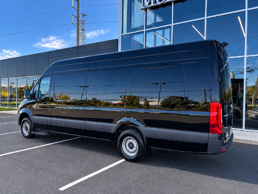 New 2025 Jet Black Mercedes-Benz Cargo 170 WB image 3