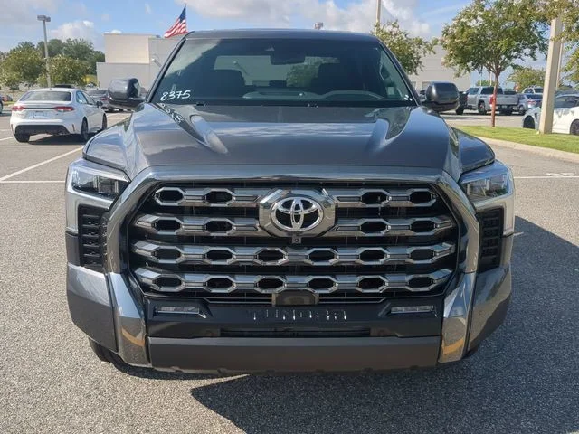 New 2026 Magnetic Gray Metallic Toyota Platinum image 9