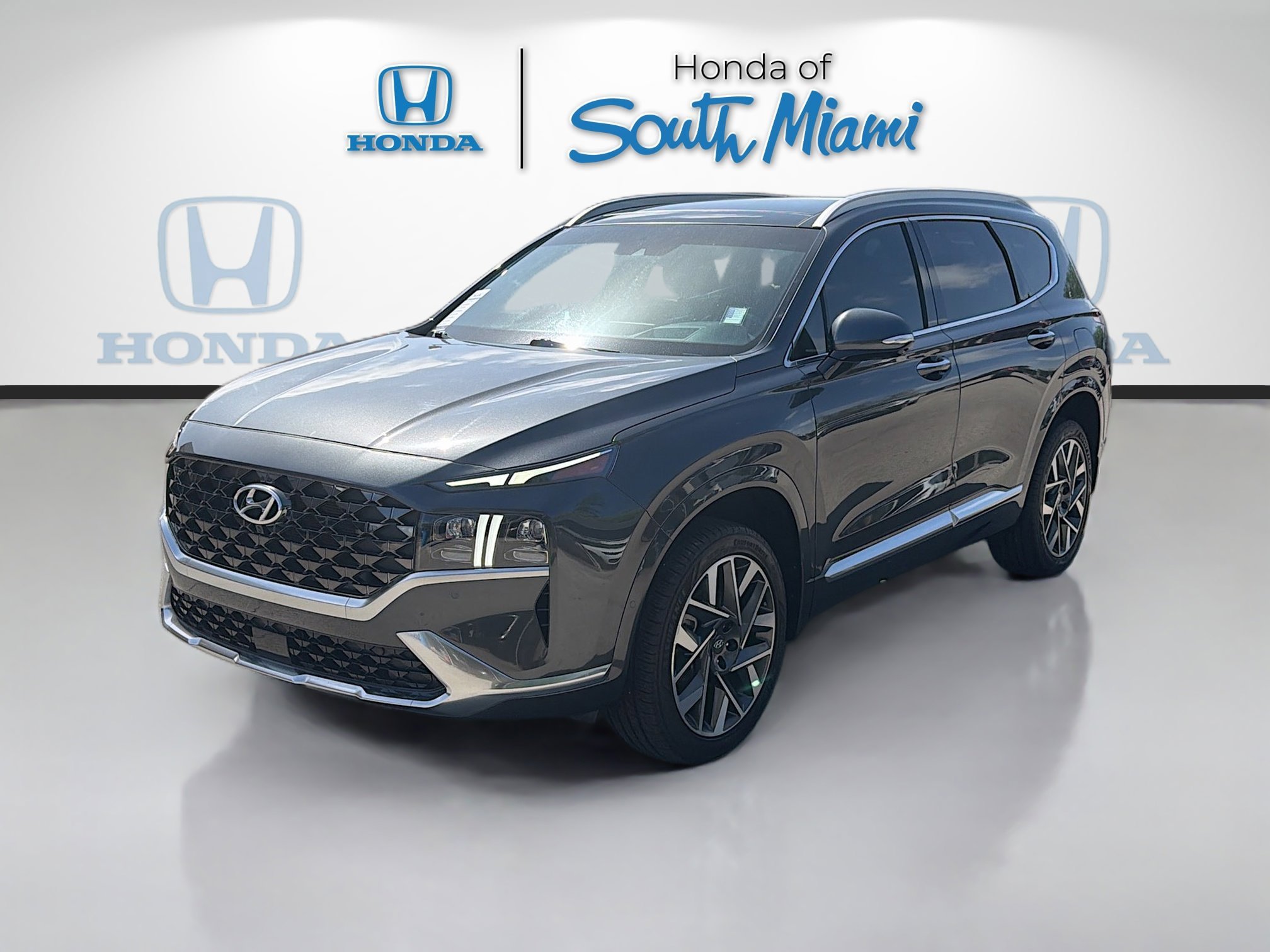 Used 2023 Portofino Gray Hyundai Calligraphy image 3