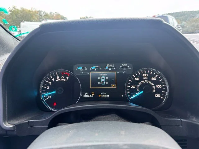 Used 2020 Silver Ford Platinum image 20