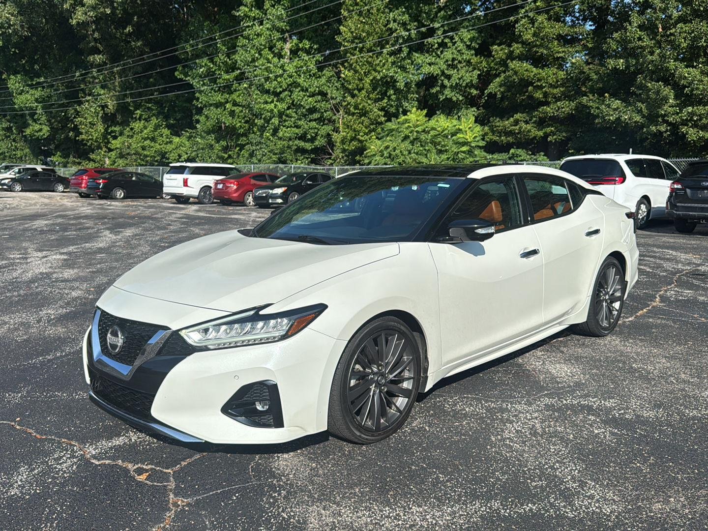 Used 2019 Pearl White Tricoat Nissan Platinum image 7