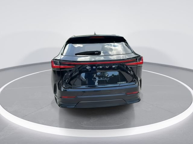 2023 Lexus NX 250 - Photo 7