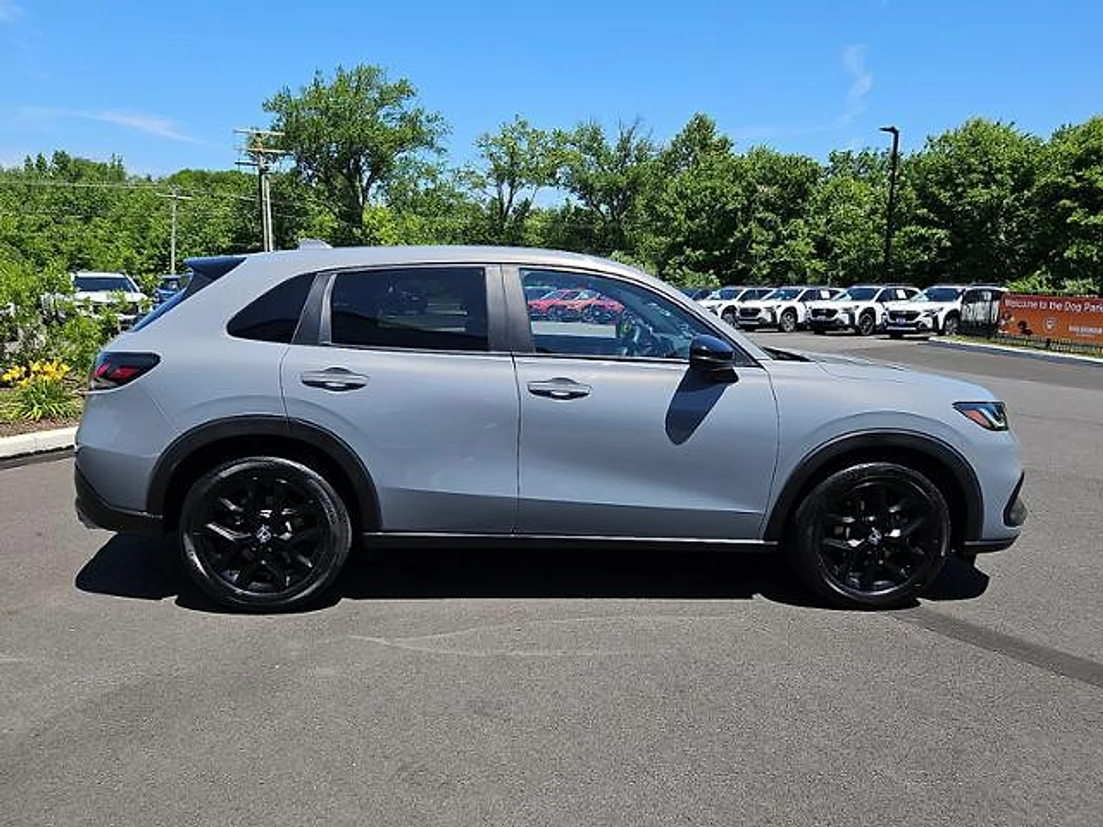 Used 2024 Urban Gray Pearl Honda Sport image 7