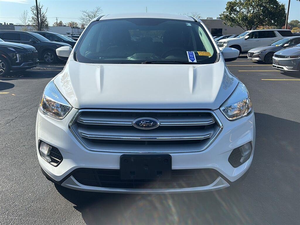 Used 2019 Wh Ford  image 2