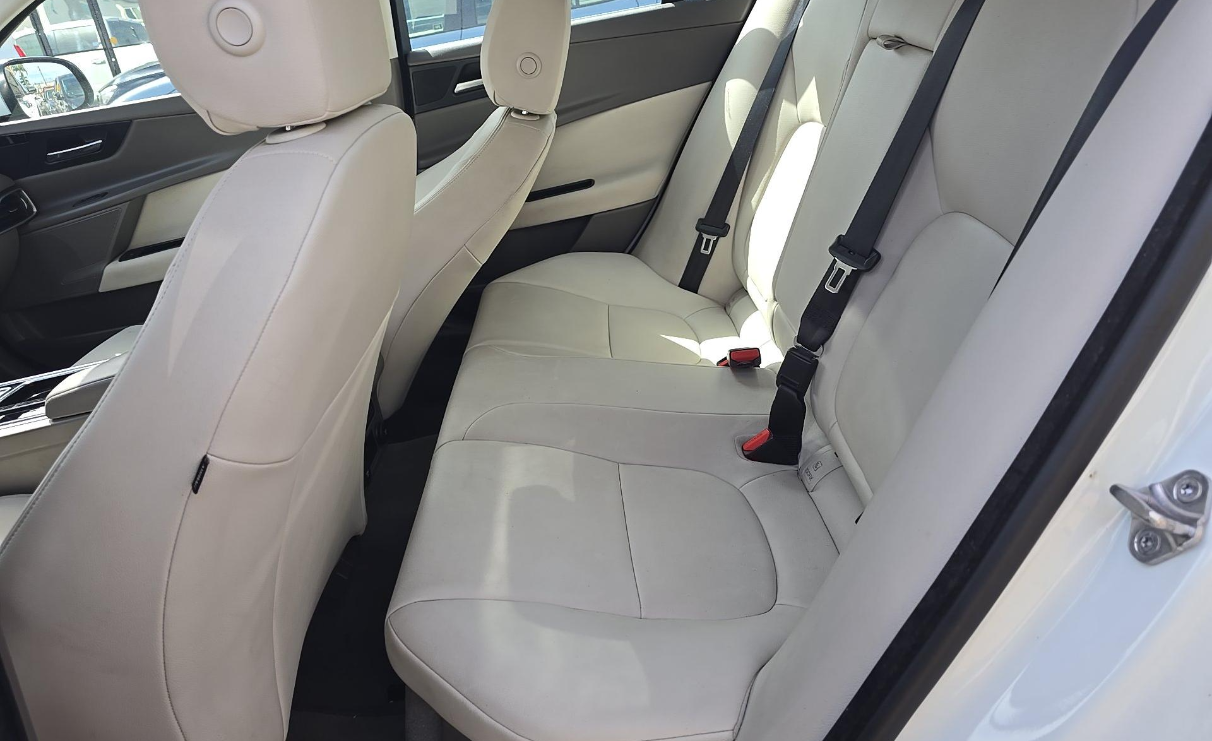 Used 2019 Fuji White Jaguar 25t image 5
