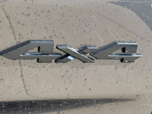 New 2026 Granite Crystal Metallic Clear-Coat Exterior Paint RAM Big Horn image 34