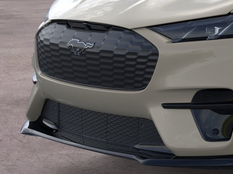 New 2026 Desert Sand Ford Premium image 17