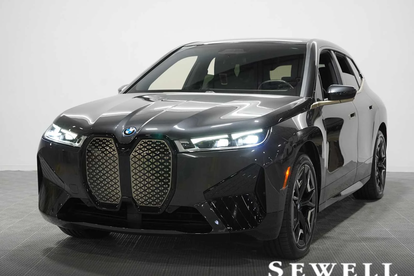 2024 BMW iX xDrive50's photo