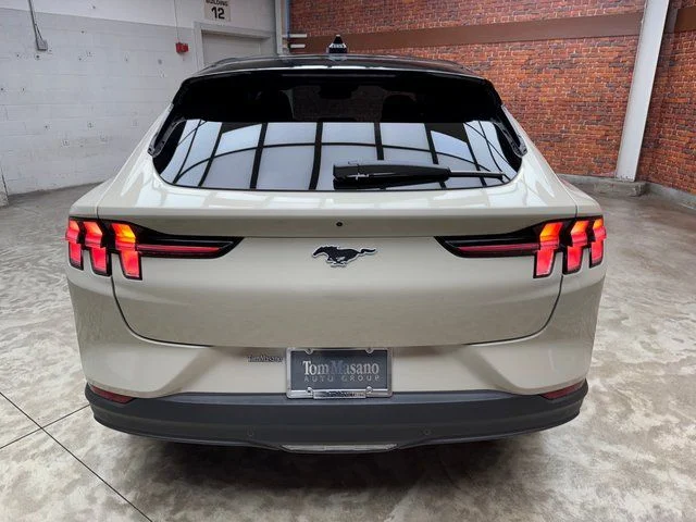 New 2025 Beige Ford Premium image 4