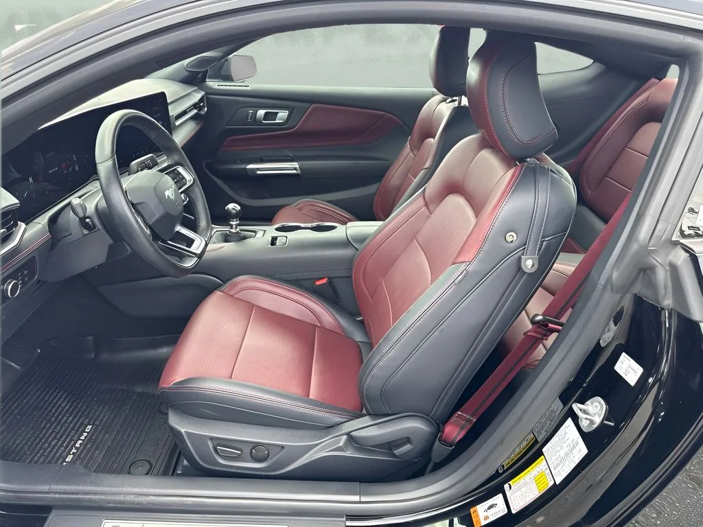 Used 2025 Black Ford GT Premium image 10