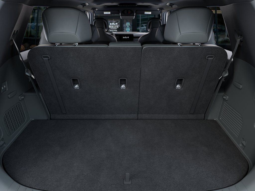 New 2027 Black Jade Green Kia X-LINE SX image 19