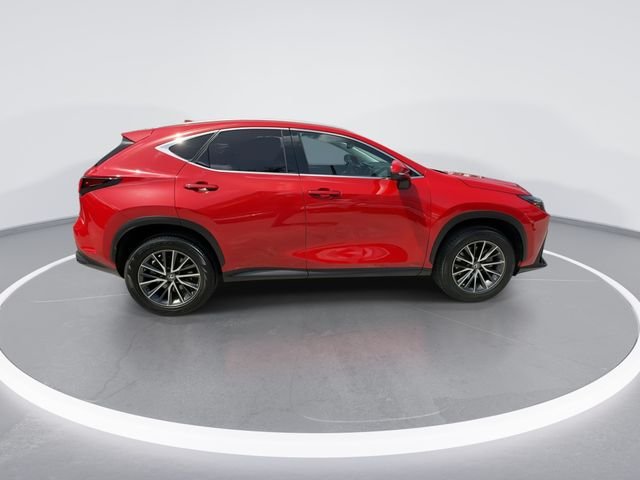 2023 Lexus NX 250 - Photo 9