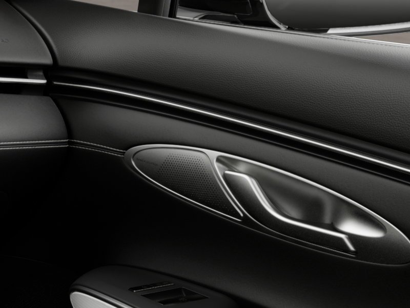 New 2026 Vik Black Genesis  image 23