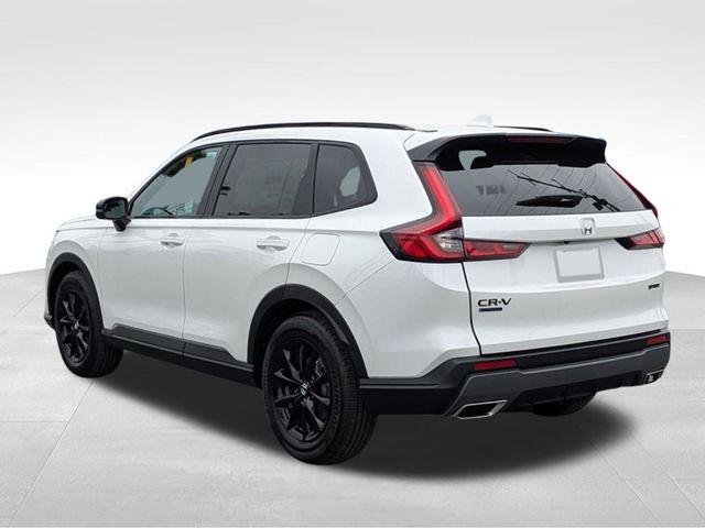 New 2026 Platinum White Pearl Honda Sport image 2