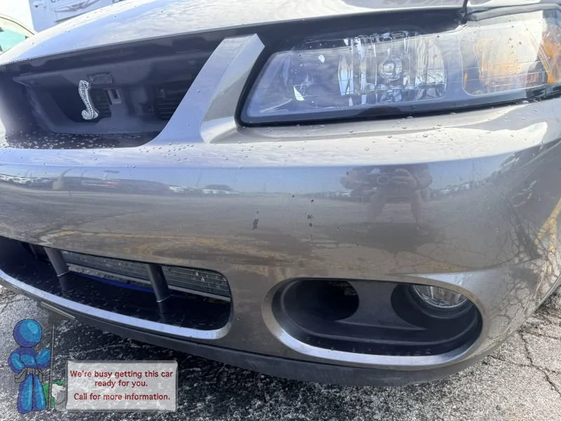 Used 2003  Ford Cobra image 5