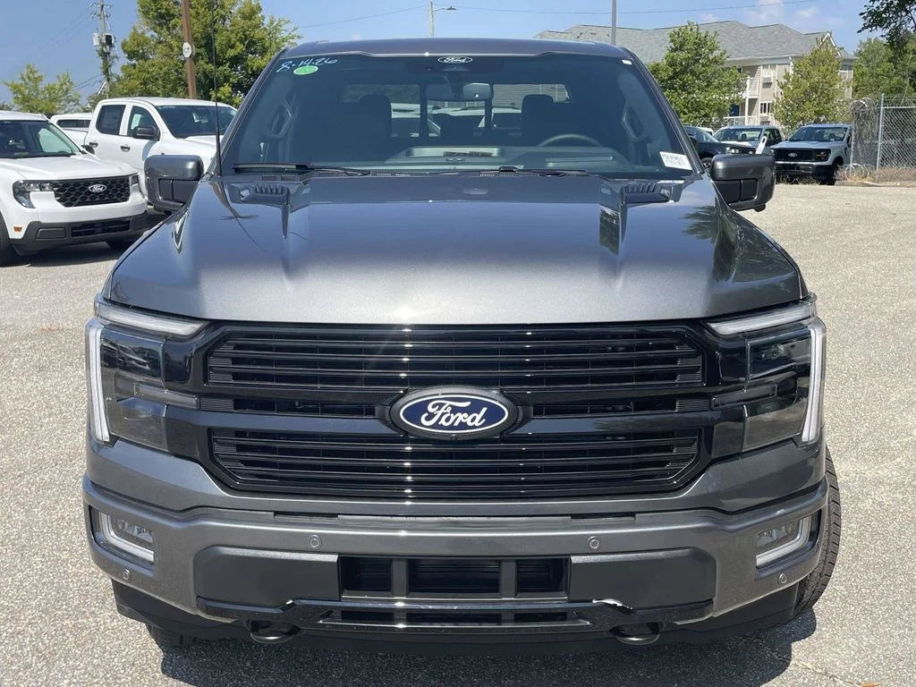 New 2026 Gray Ford Platinum image 8