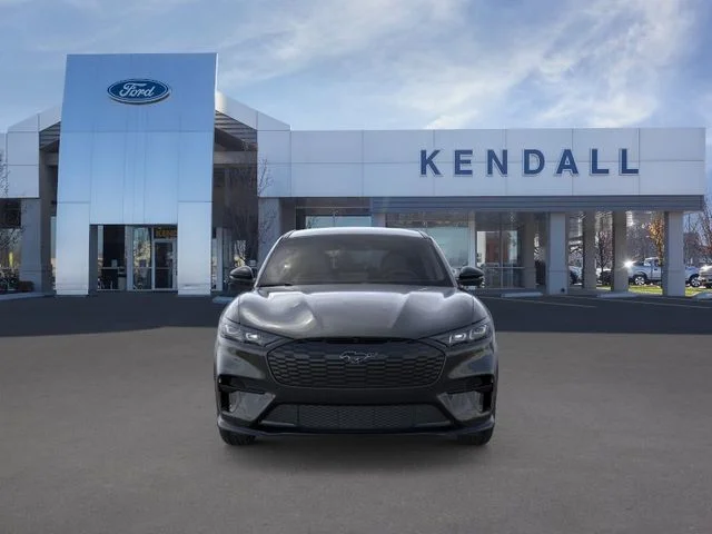 New 2026 Shadow Black Ford Premium image 6