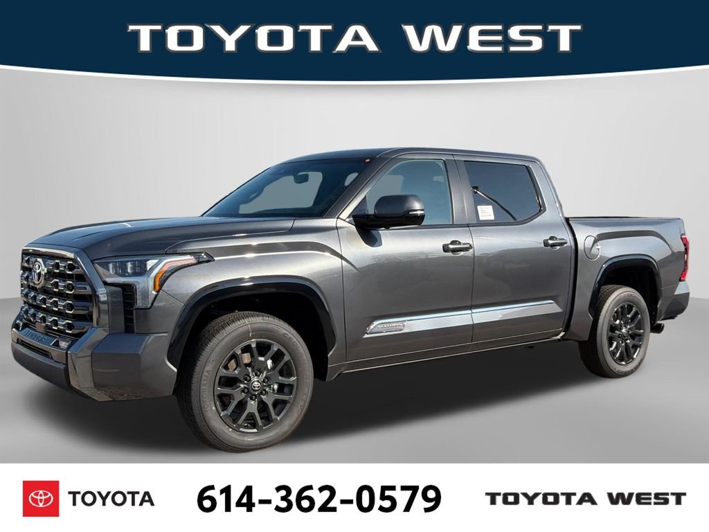New 2026 Magnetic Gray Metallic Toyota Platinum image 1