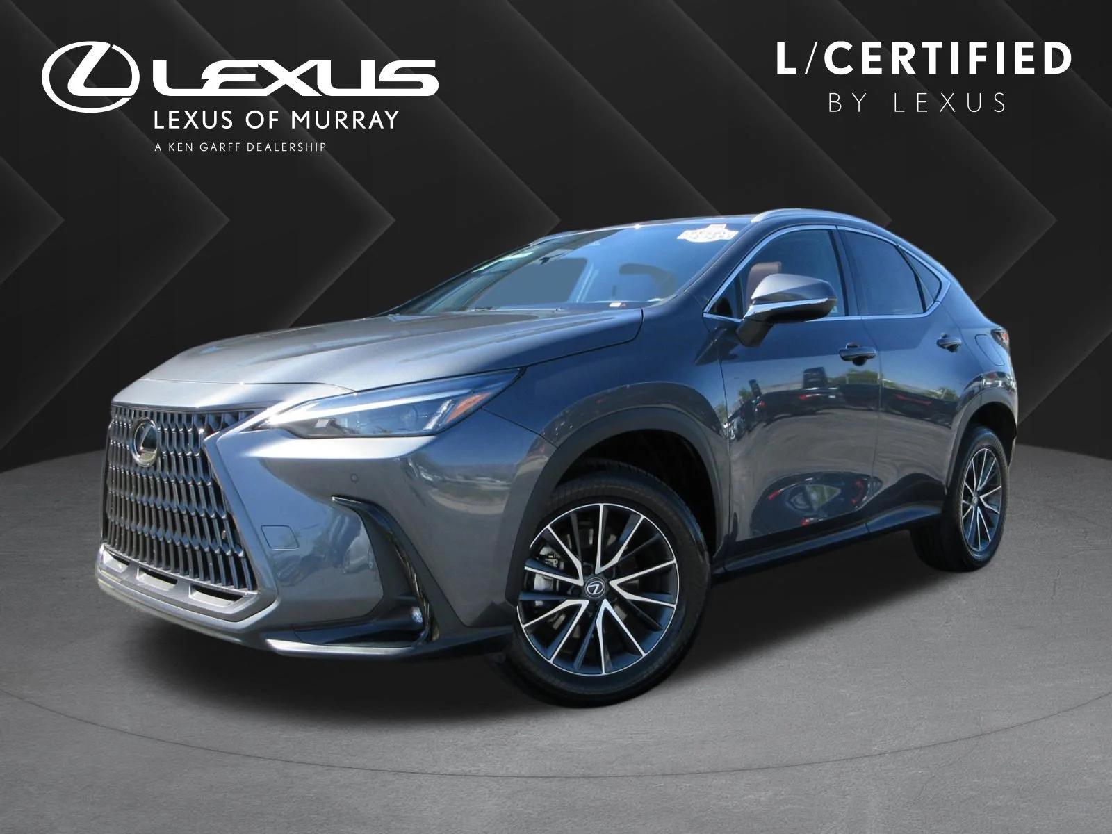 2024 Lexus NX 350h 350h Premium AWD's photo