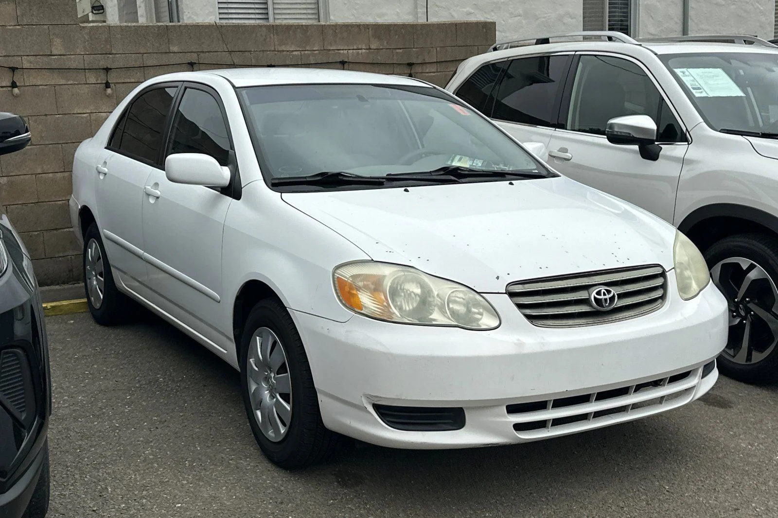 Used 2003 Toyota Corolla CE with VIN 1NXBR32E73Z041081 for sale in Albany, CA