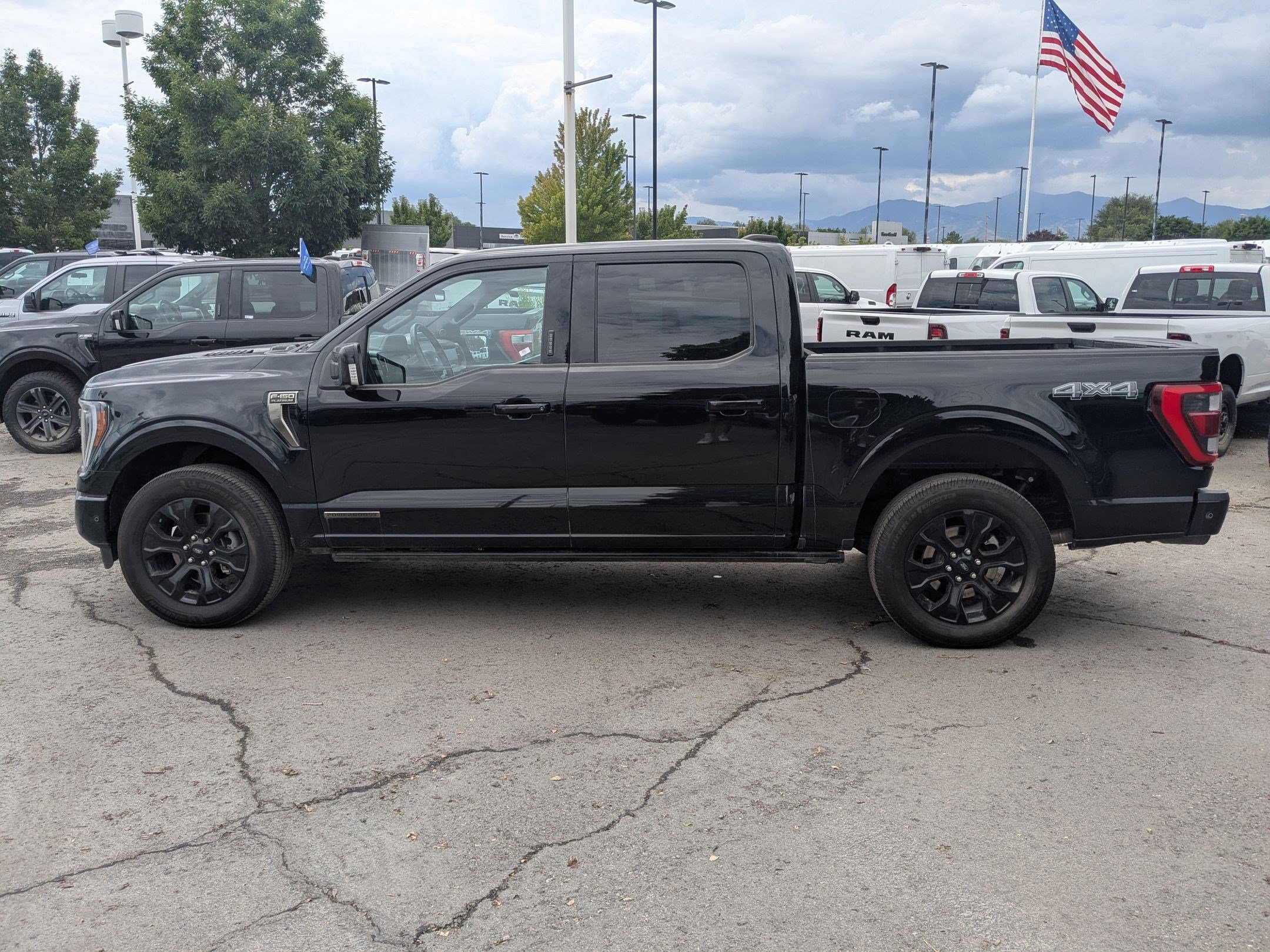 Used 2023 Blue Ford Platinum image 7