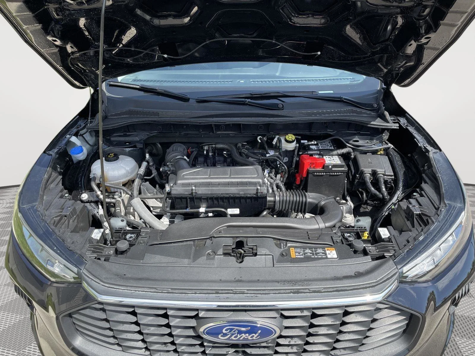 Used 2025 Agate Black Ford Active image 8