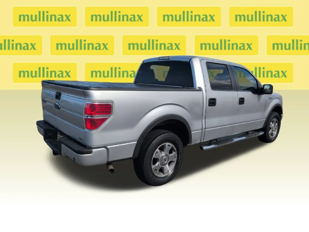 Used 2010 Silver Ford FX4 image 3