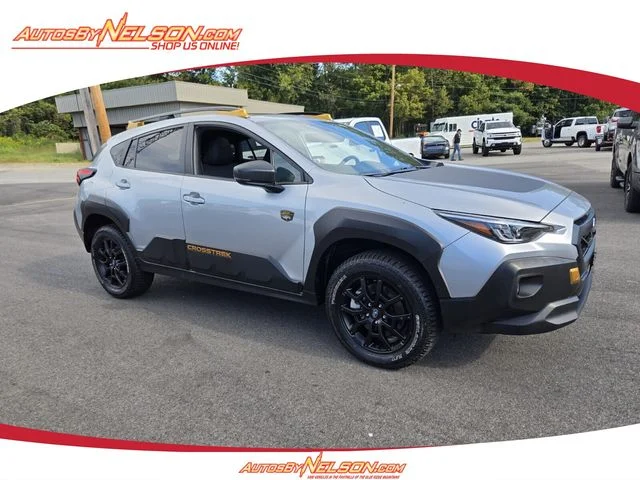 Used 2024 Silver Subaru Wilderness image 1