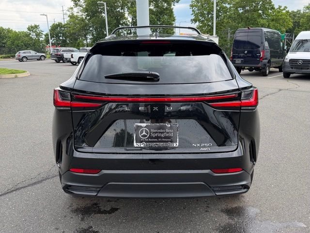 Used 2025 Black Lexus 250 Premium image 6