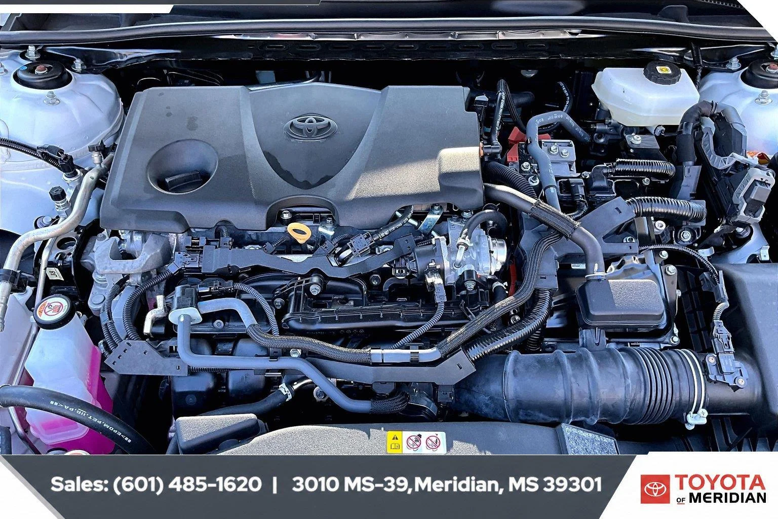 Used 2025 Ice Cap Toyota SE (Natl) image 8