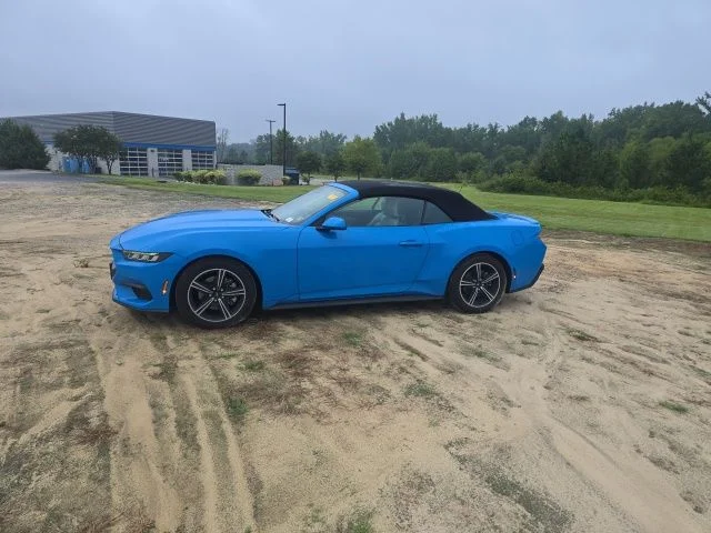 Used 2024 Blue Ford EcoBoost Premium image 4