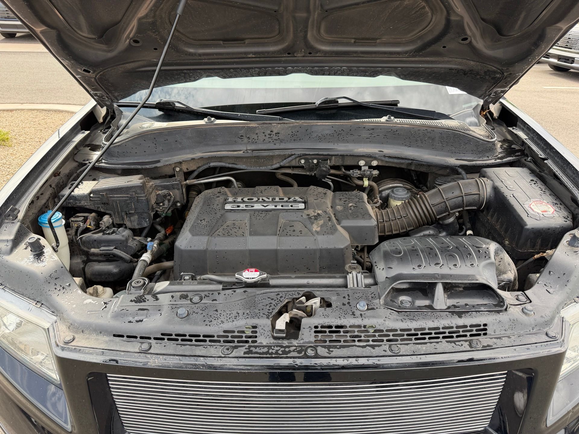 Used 2006 Black Honda RTL image 57
