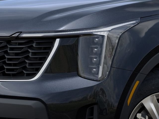 New 2026 Panthera Metal Kia LX image 10
