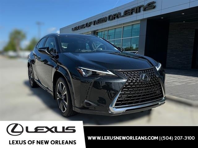 2024 Lexus UX 300h 250h Premium's photo