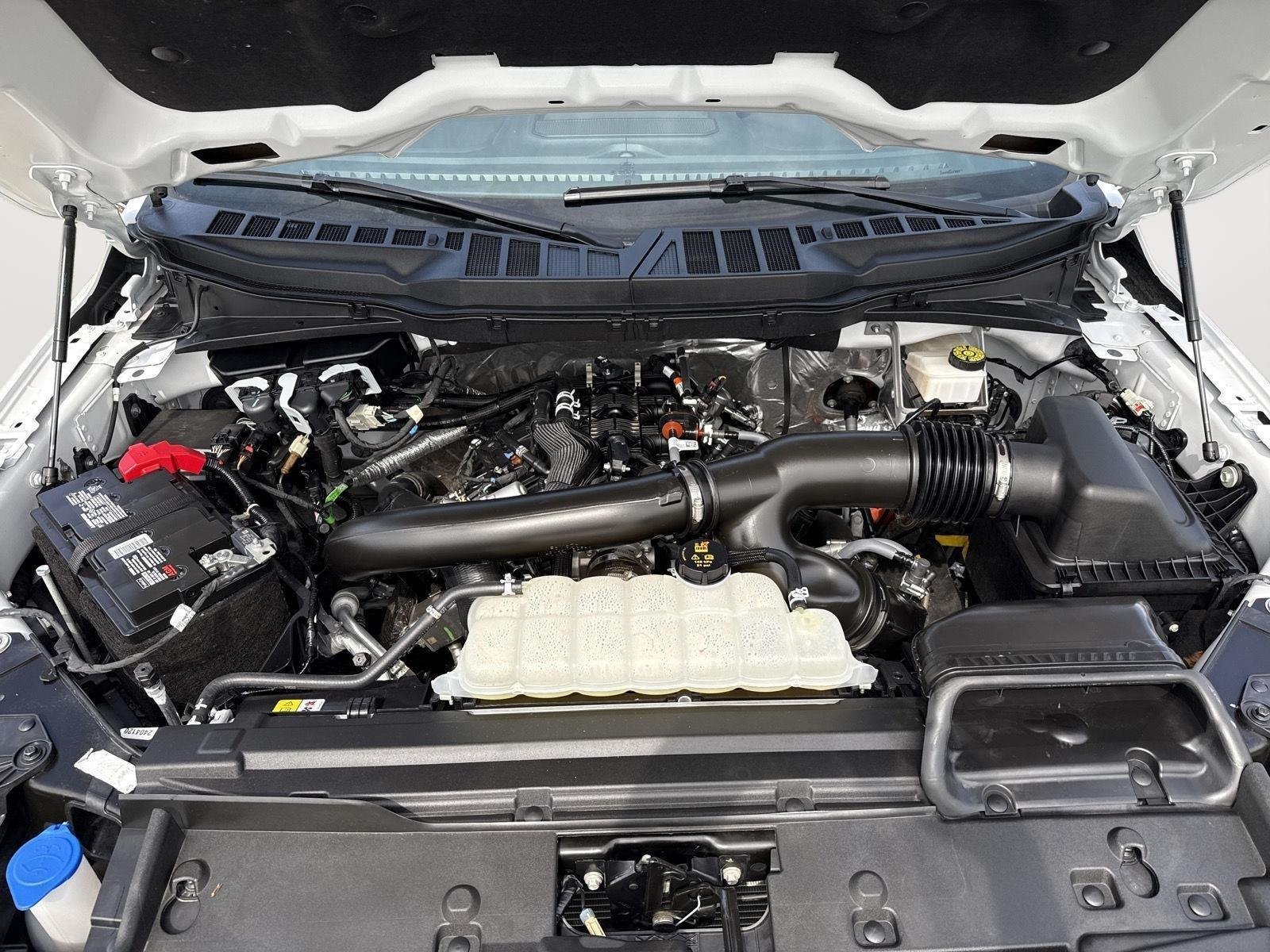 Used 2024 Oxford White Ford XLT image 8