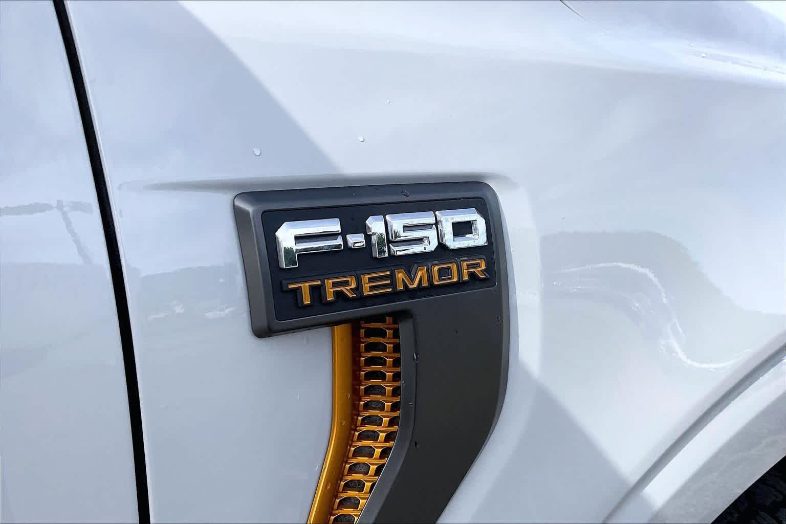 Used 2024 Avalanche Ford Tremor image 9