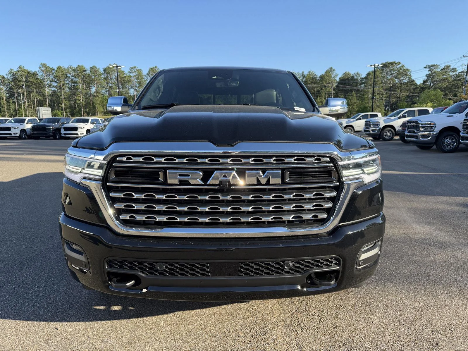 New 2026 Diamond Black Crystal Pearl-Coat Exterior Paint RAM Limited image 2