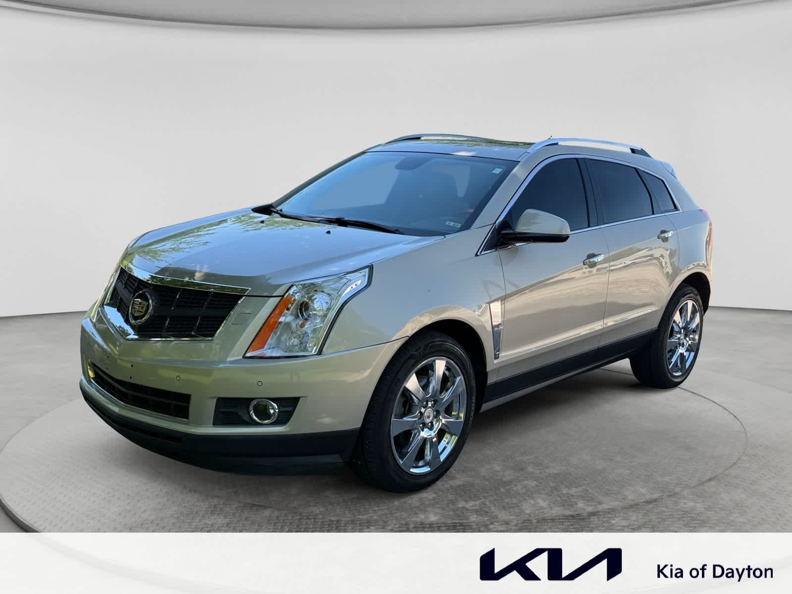 2011 Cadillac SRX AWD Premium Collection's photo