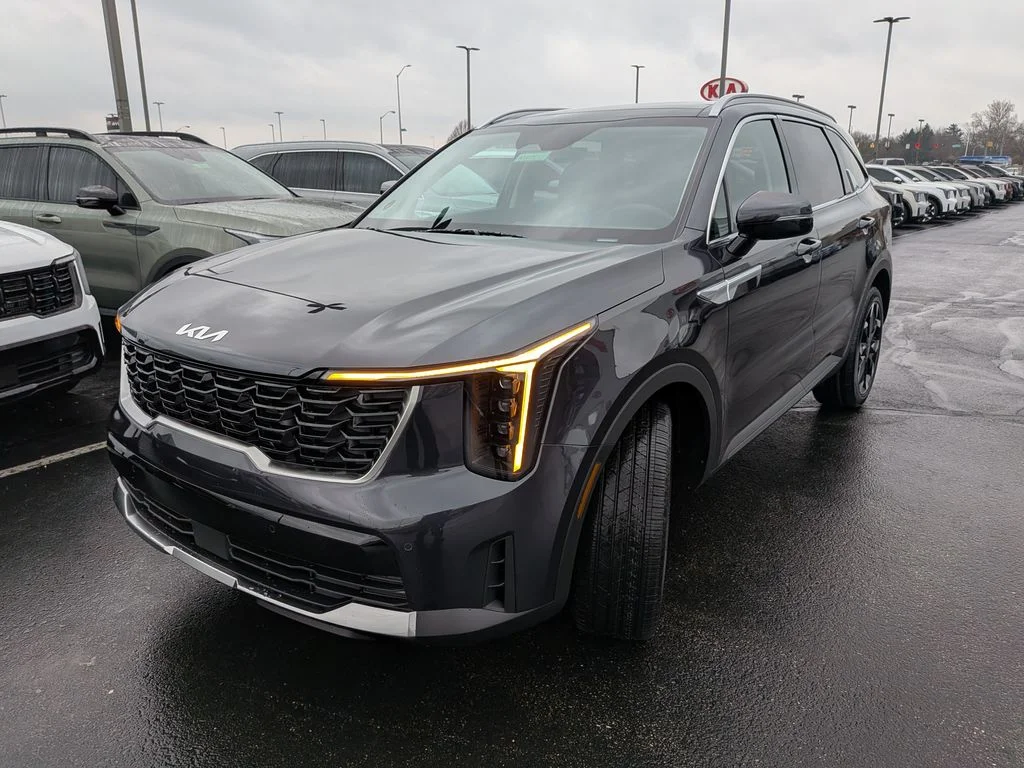 New 2026 Panthera Metal Kia EX image 3