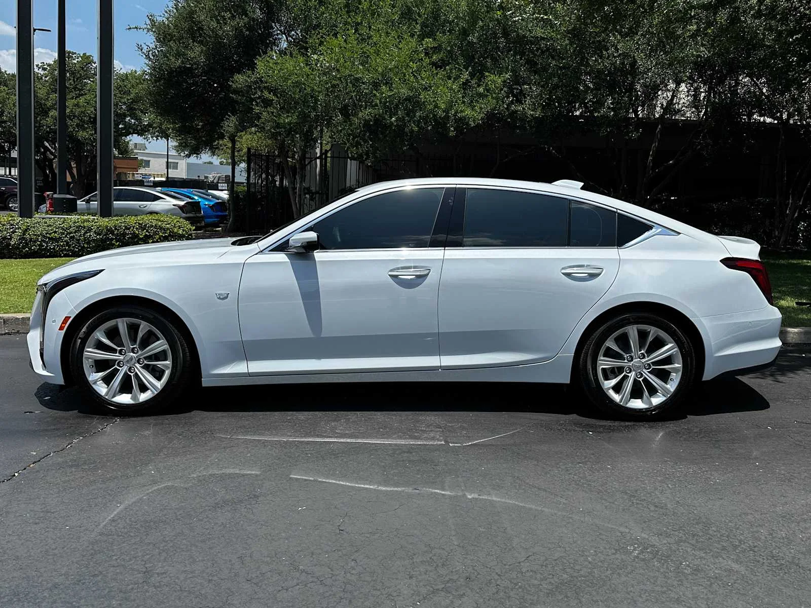 Certified Used 2026 Vibrant White Tricoat Cadillac Premium Luxury image 5